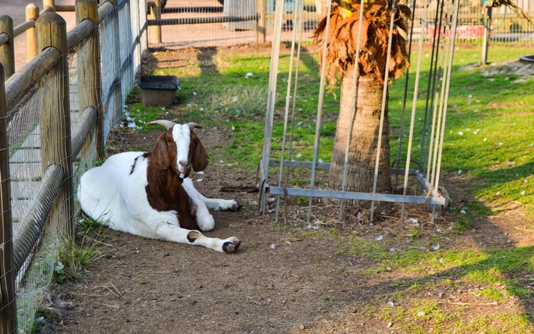 DSC_2890.jpg