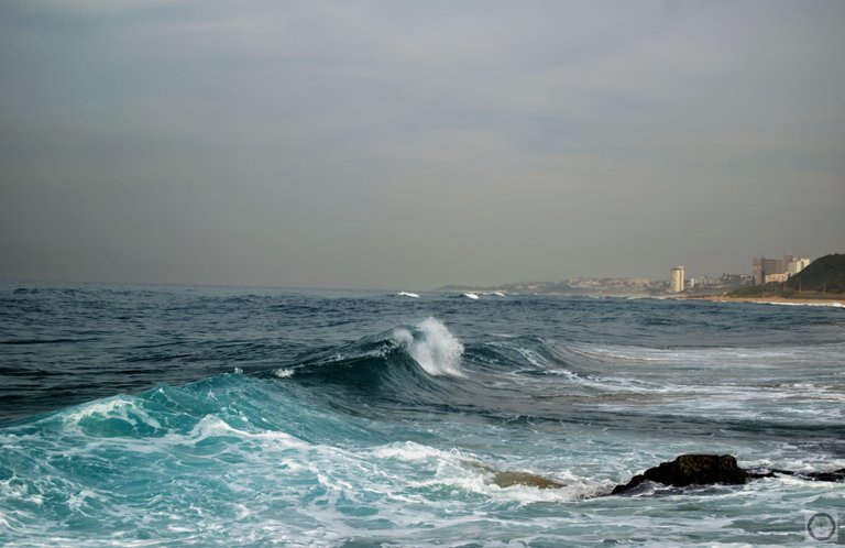 DSC_2584.jpg
