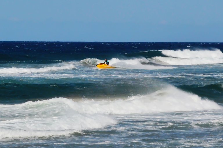DSC_8367-1.jpg