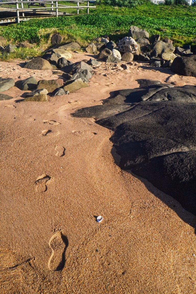 DSC_8094.jpg