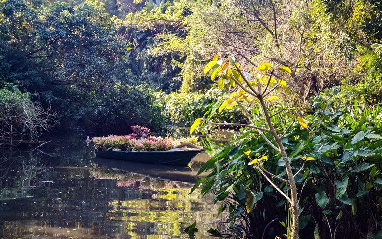 DSC_2738.jpg