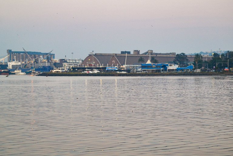 DSC_2919.jpg
