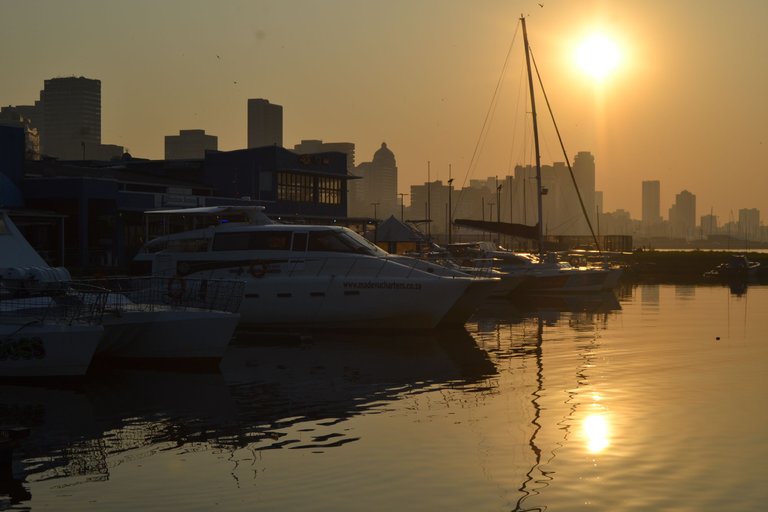 DSC_3003.JPG