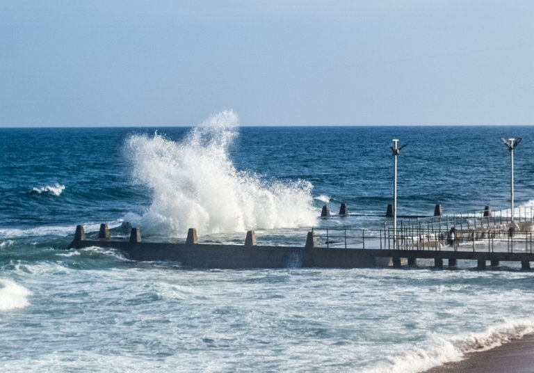 DSC_5605.jpg