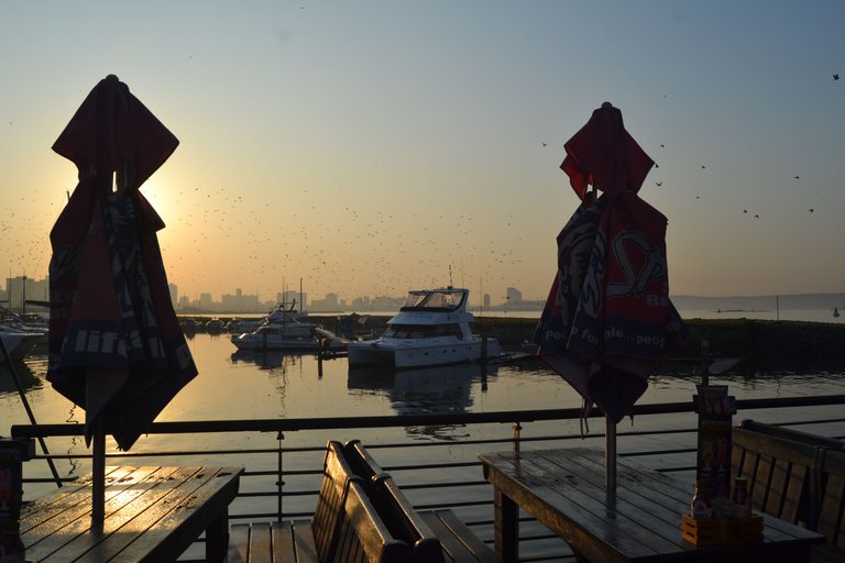 DSC_3004.JPG
