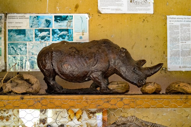 DSC_4106.jpg