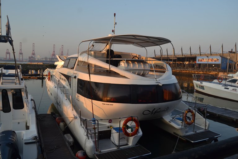 DSC_2990.JPG
