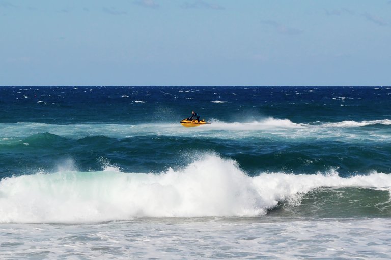 DSC_8365.jpg