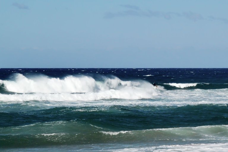 DSC_8368.jpg