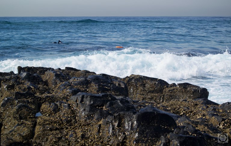 DSC_2378.jpg