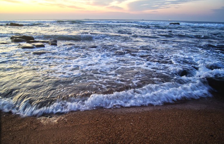 DSC_1721.jpg