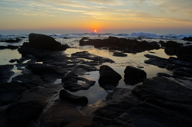 DSC_1836.jpg