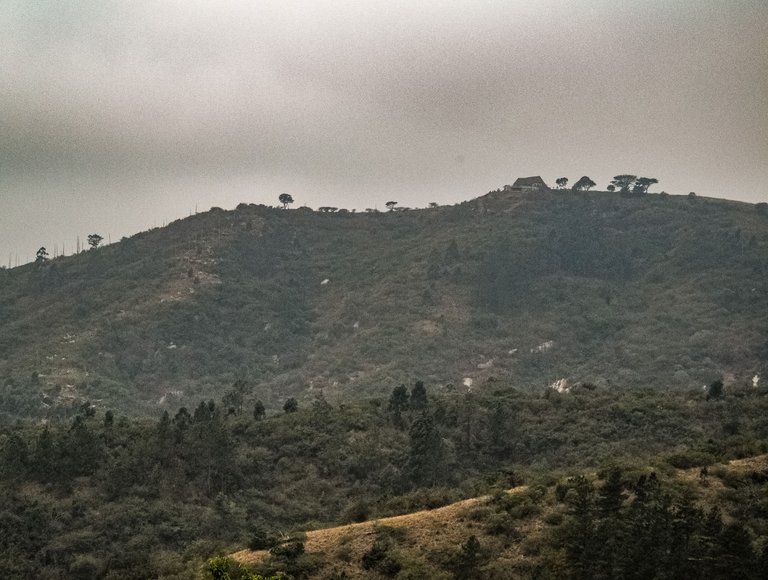 DSC_3801.jpg