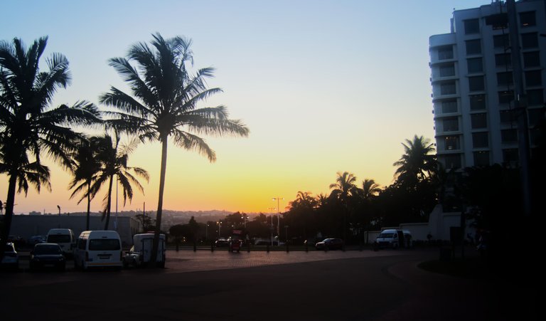 DSC_2330.jpg