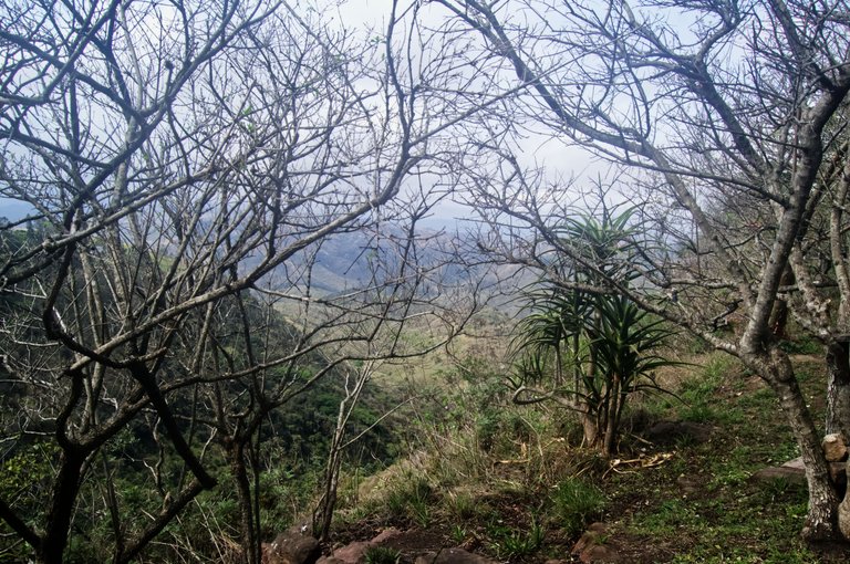 DSC_0858.jpg