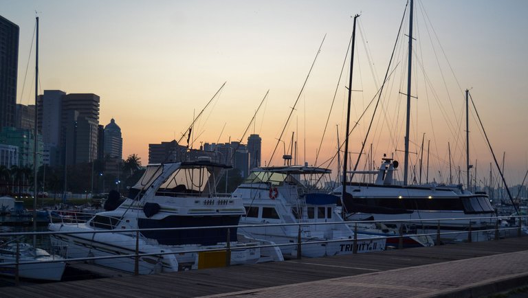 DSC_2898.jpg