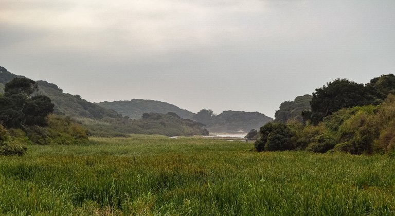 DSC_3863.jpg