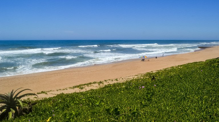 DSC_5524-2.jpg