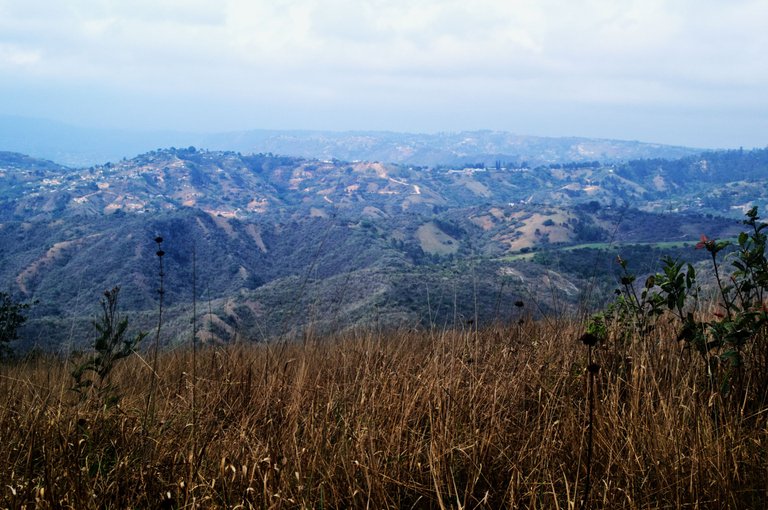 DSC_0865.jpg