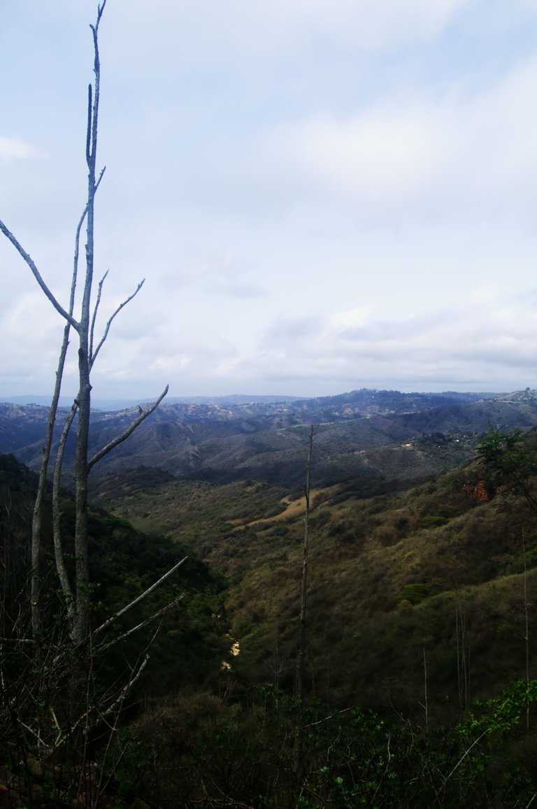 DSC_0848.jpg