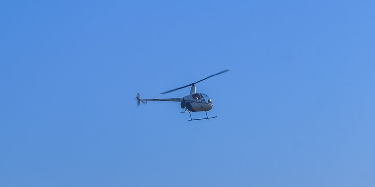 DSC_8306.jpg
