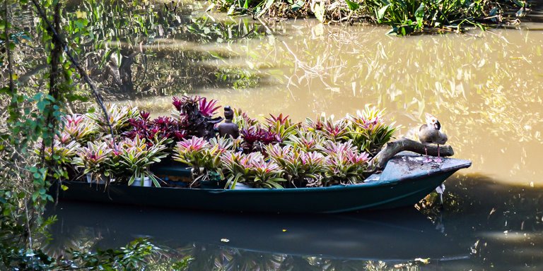 DSC_2746.jpg