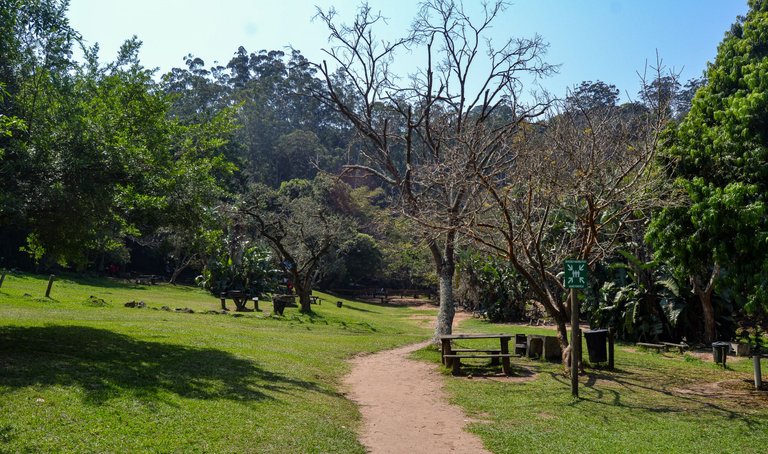 DSC_4099.jpg