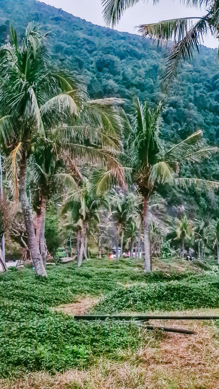20230204_060859.jpg