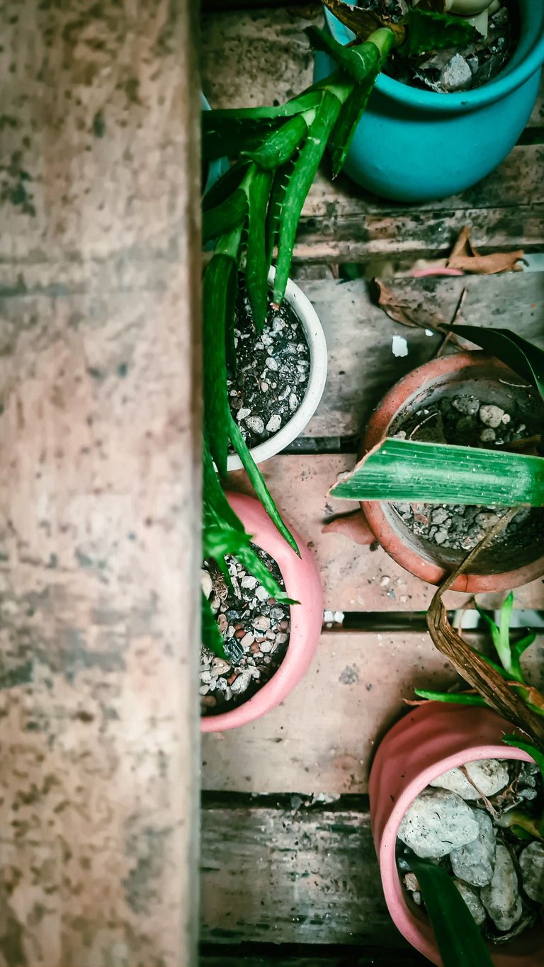 20230130_124537.jpg