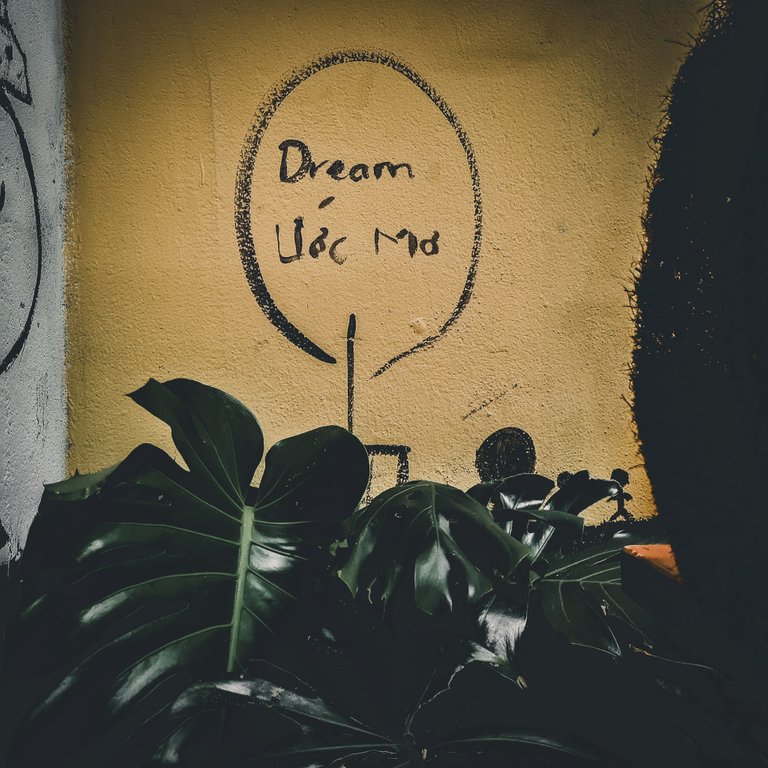 Dream and how to say it in Vietnamese. 