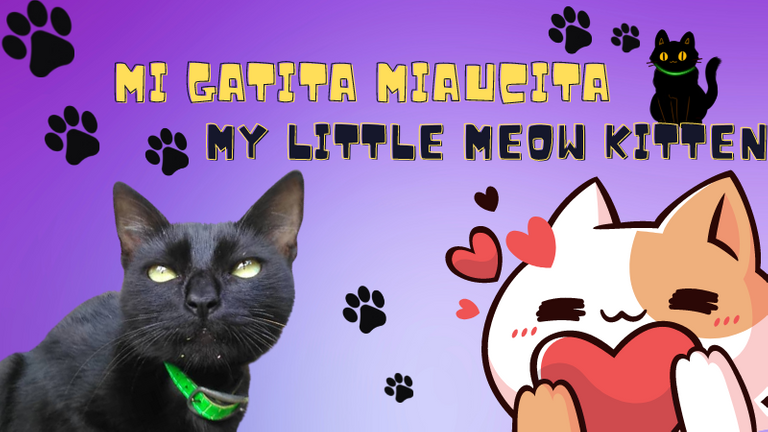 Mi Gatita Miaucita.png