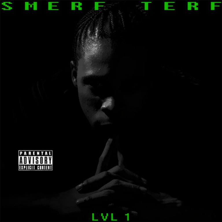 smerf terf lv 1 official cover.png