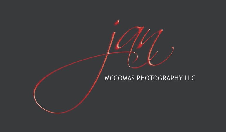 Jan McComas Logo.jpg