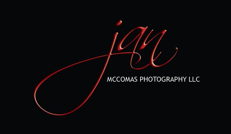 Jan McComas Logo.jpg