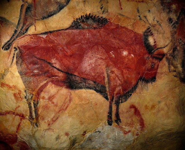 bison-1171794_640.jpg