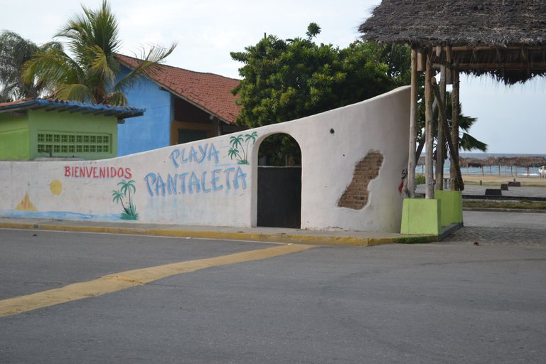 DSC_0309.JPG