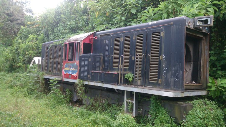 DSC_0037.JPG