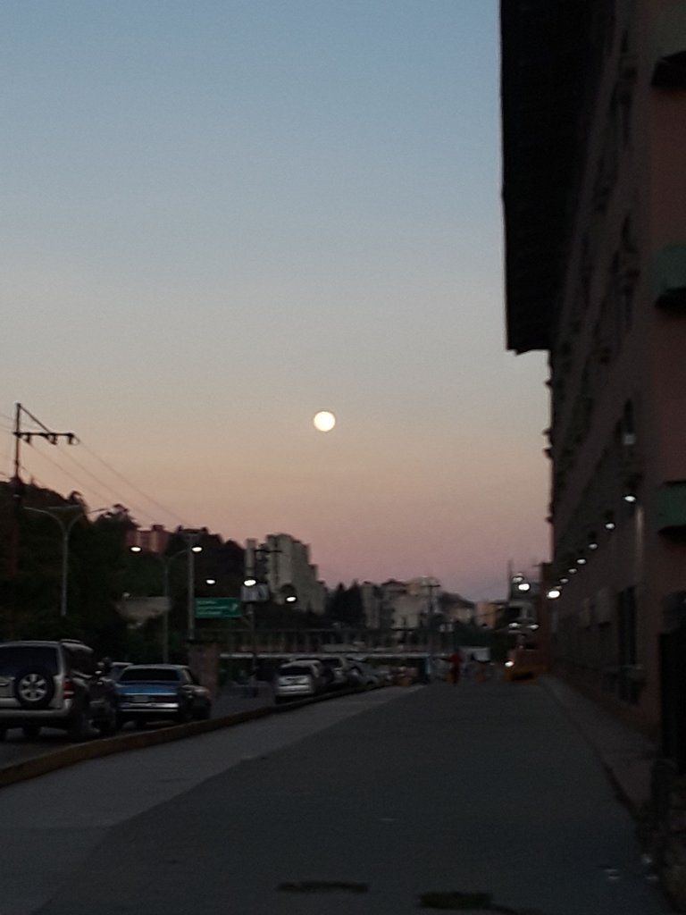 20231126_180307.jpg