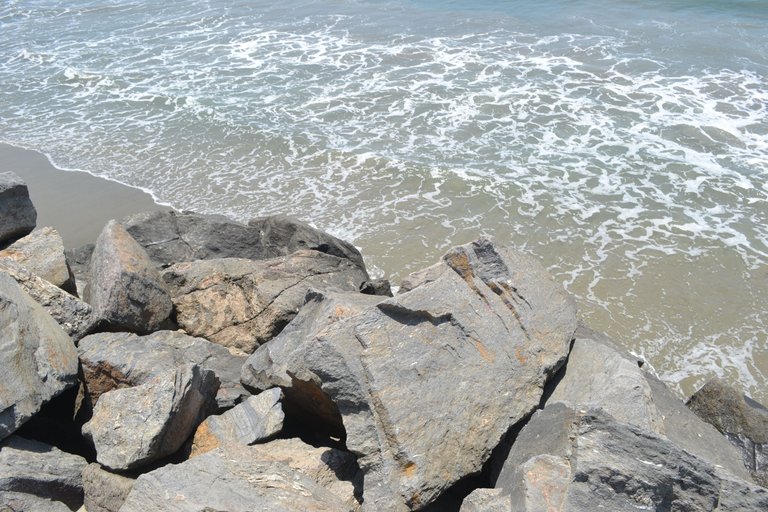 DSC_0795.JPG