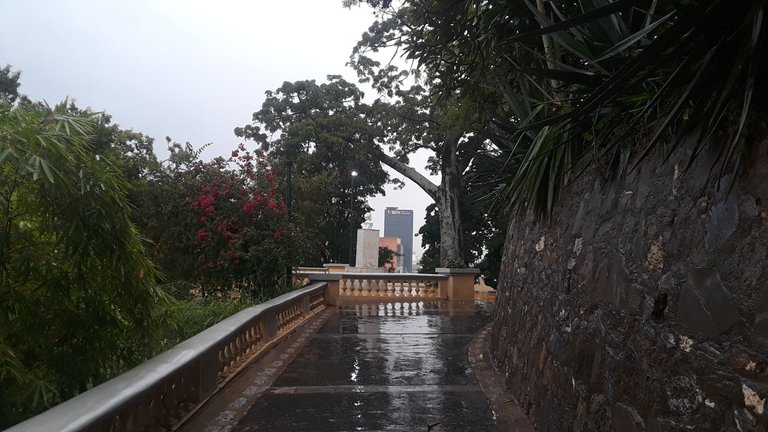 20230919_155928.jpg
