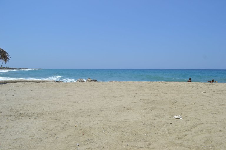 DSC_0299.JPG