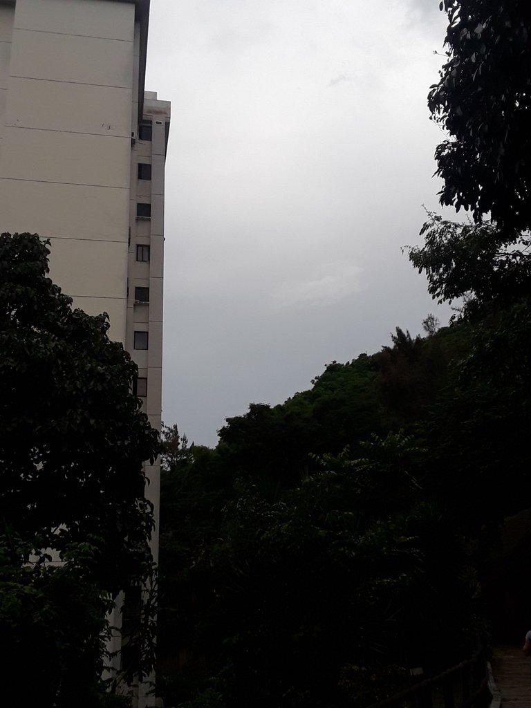 20231003_145620.jpg
