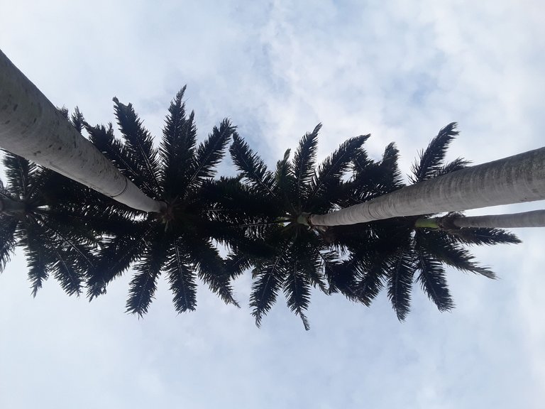 20231003_165637.jpg