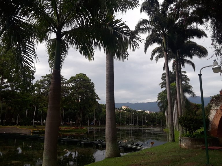 20231003_160727.jpg