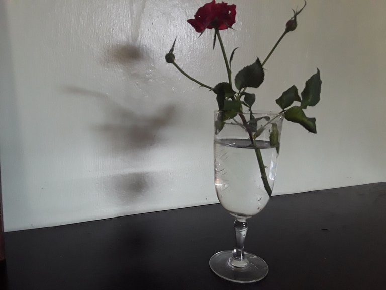 20230423_111816.jpg