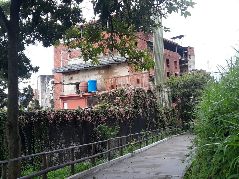 20231003_145255.jpg