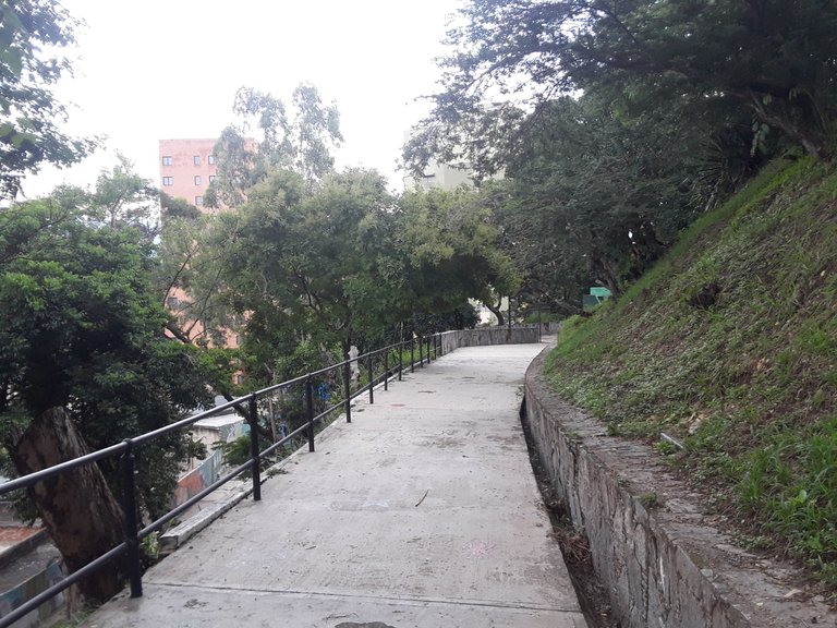 20231003_140445.jpg