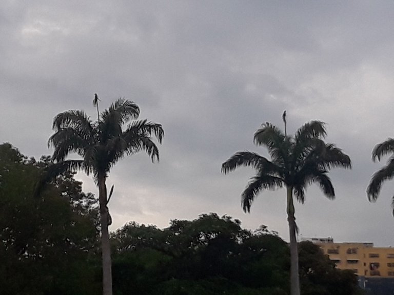 20231003_164300.jpg