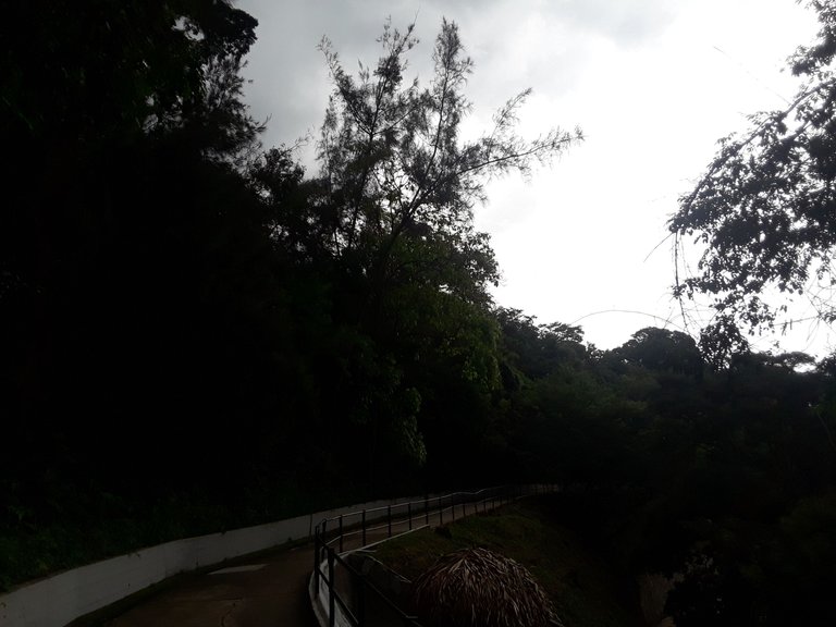 20231003_141334.jpg