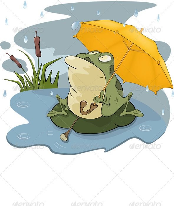 Frog and Rain Cartoon.jpeg
